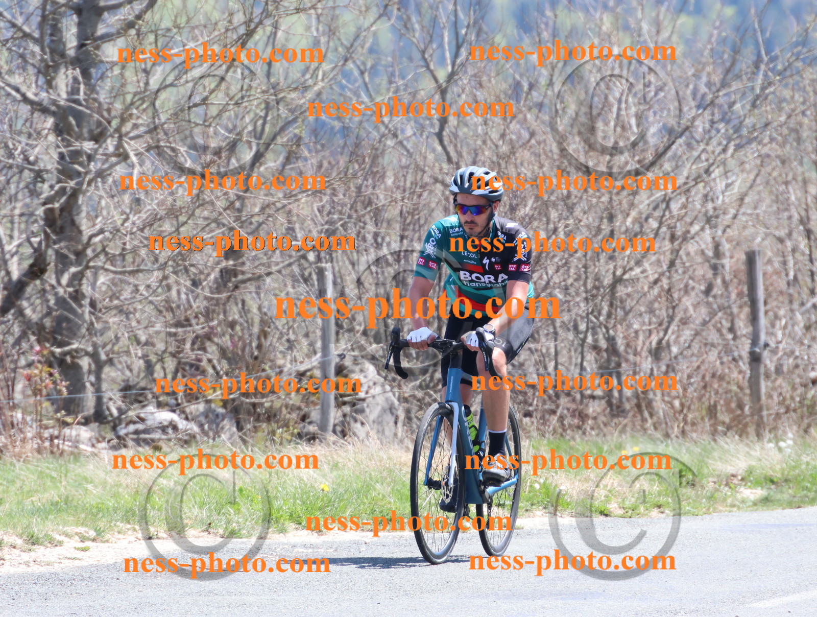 Col du Grand Colombier (872).JPG