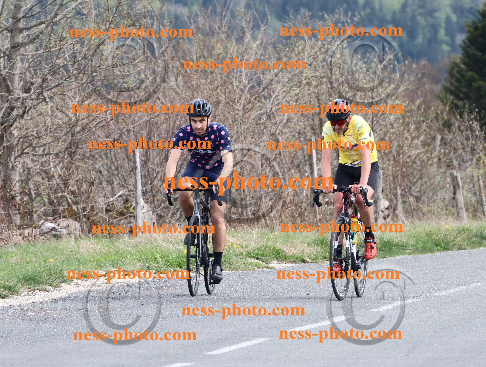 Col du Grand Colombier (1148).JPG