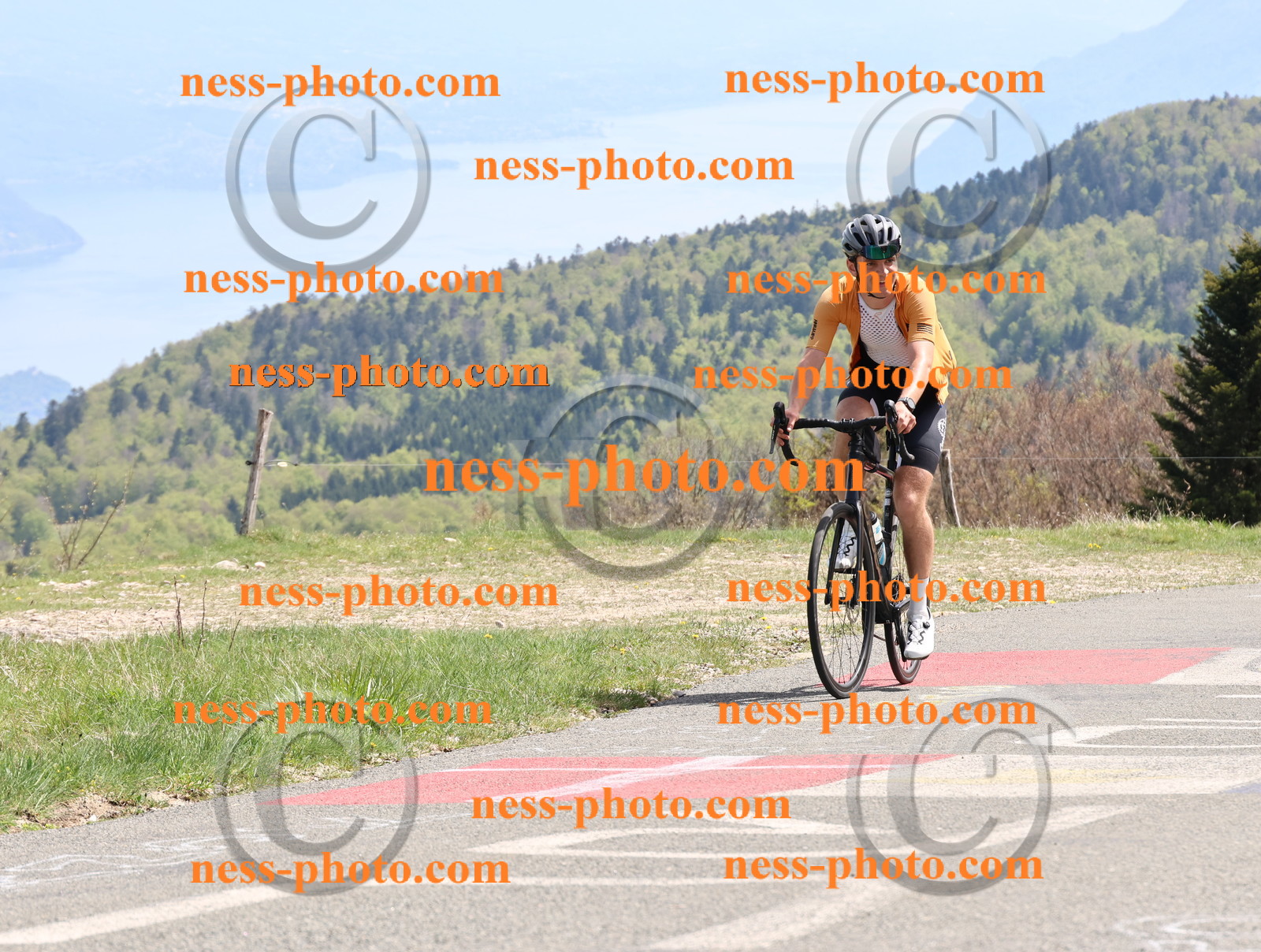 Col du Grand Colombier (942).JPG
