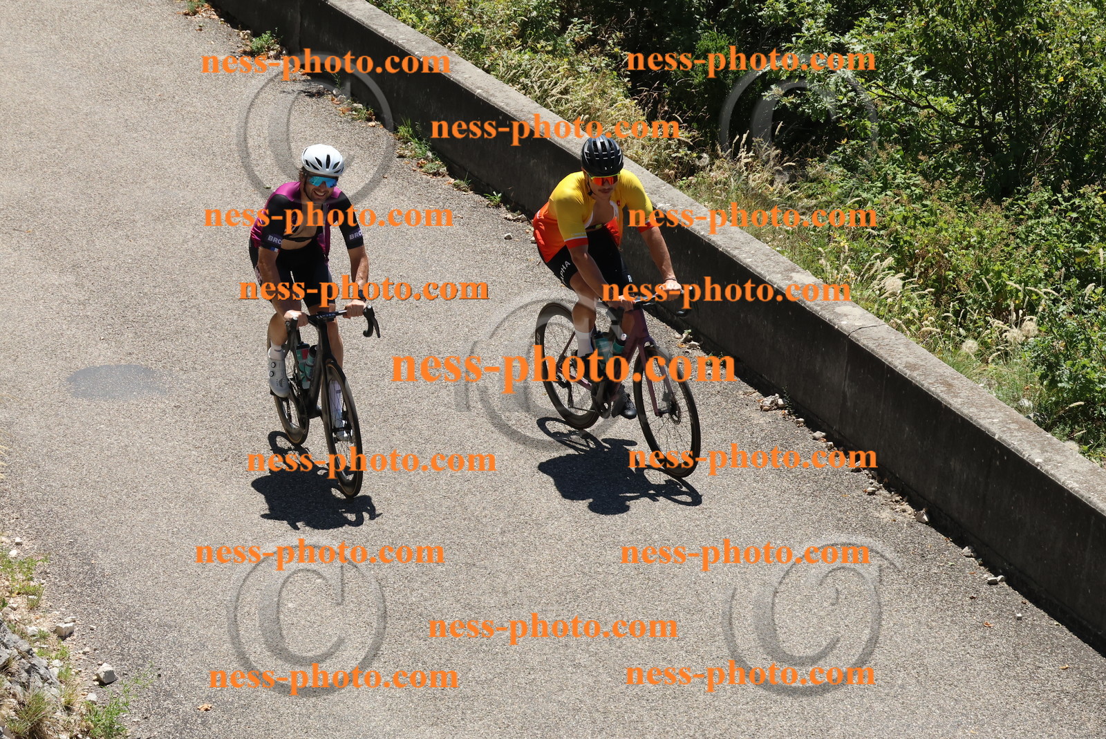 Col du Grand Colombier (561).JPG