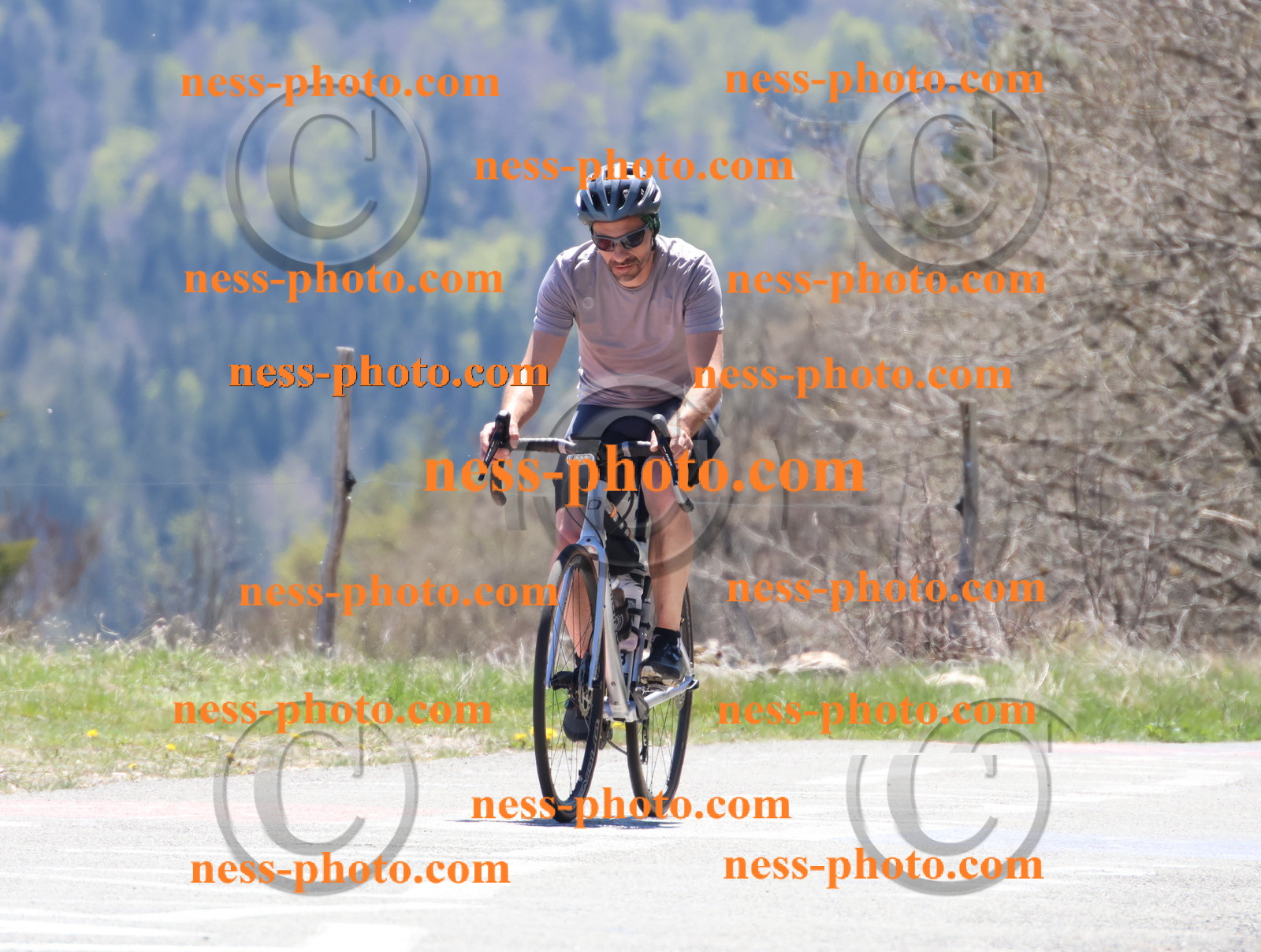 Col du Grand Colombier (561).JPG