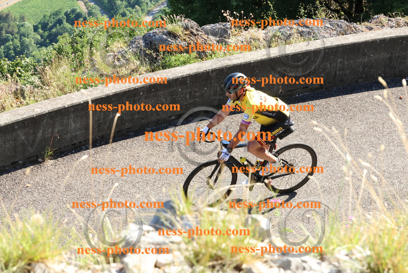 Col du Grand Colombier (743).JPG