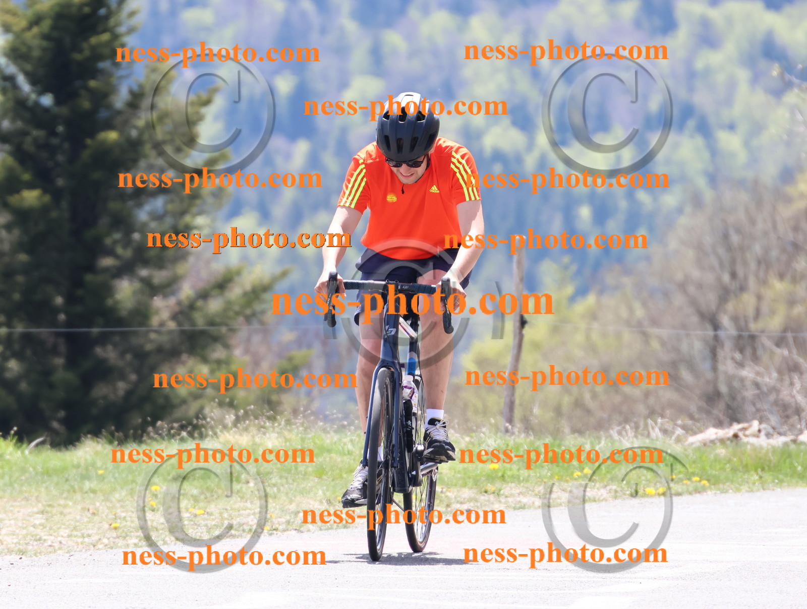 Col du Grand Colombier (435).JPG