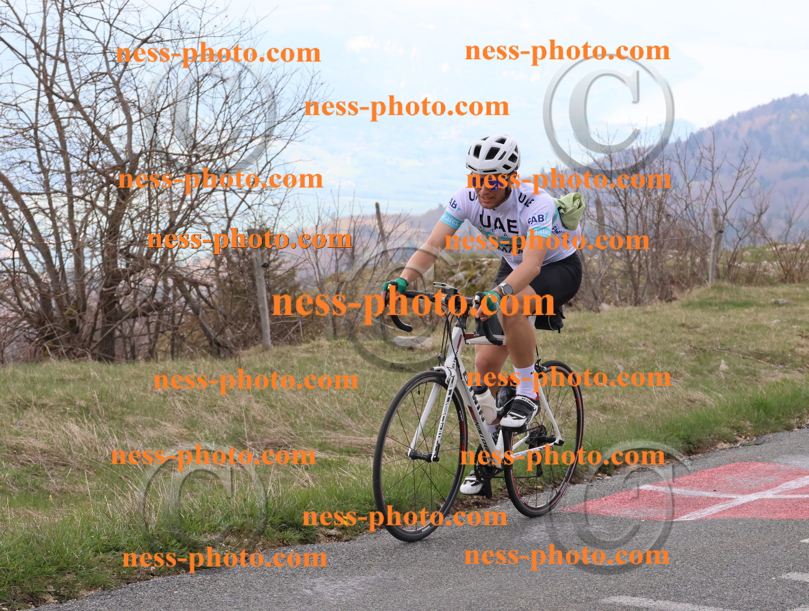 Col du Grand Colombier (149).JPG