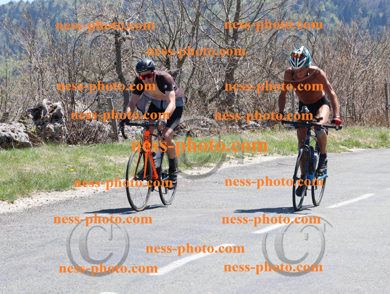 Col du Grand Colombier (802).JPG