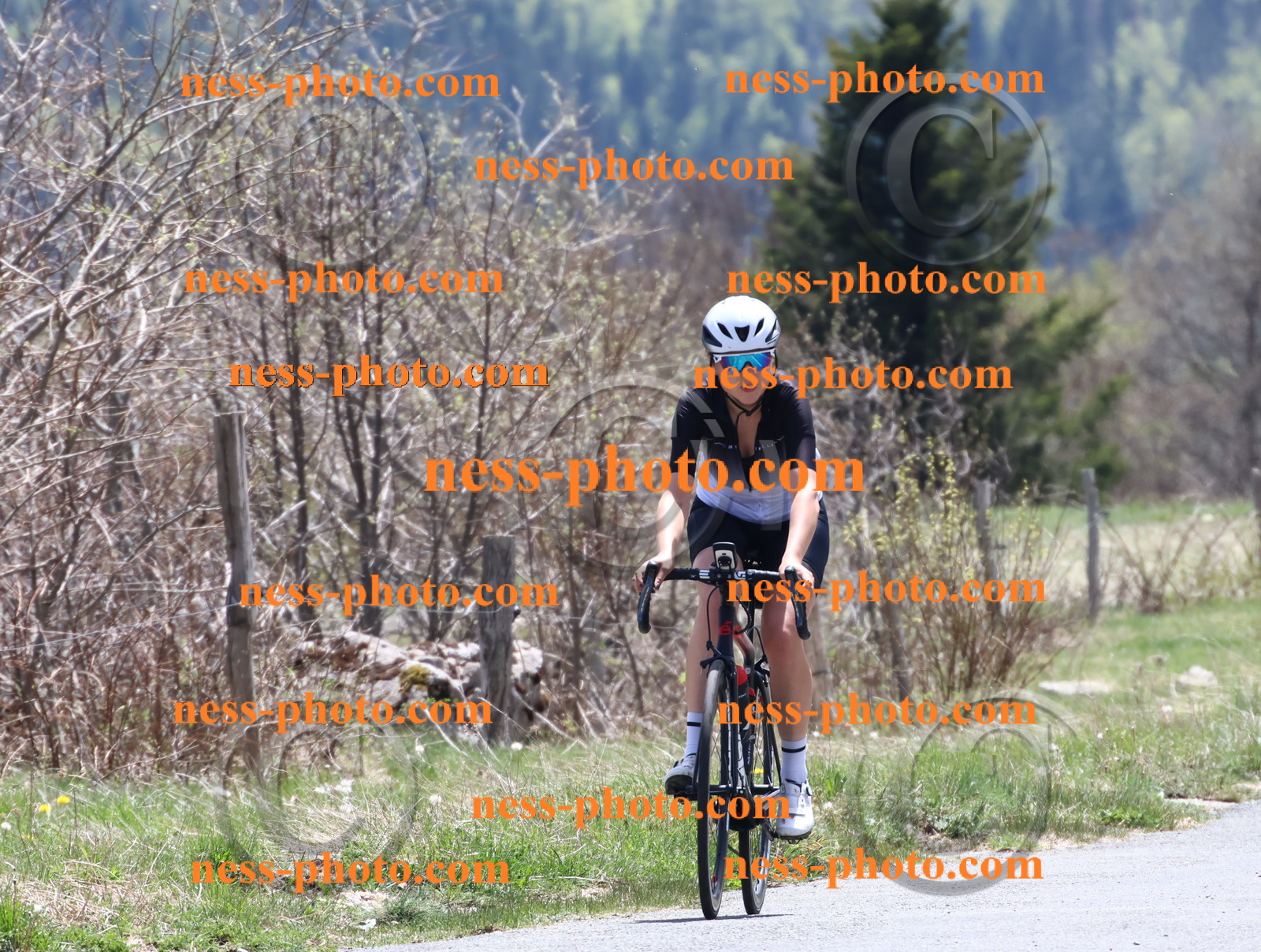 Col du Grand Colombier (677).JPG