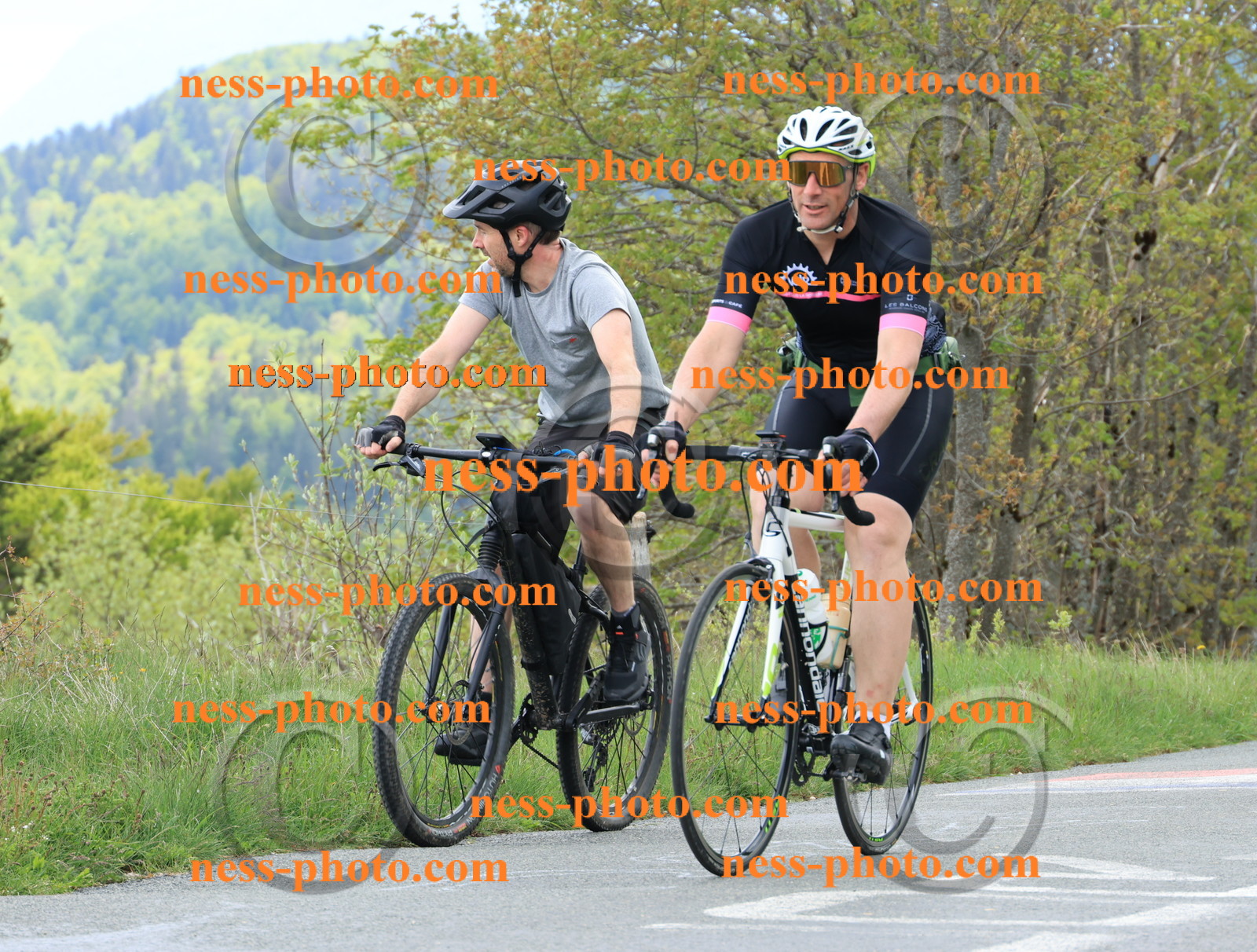 Col du Grand Colombier (591).JPG