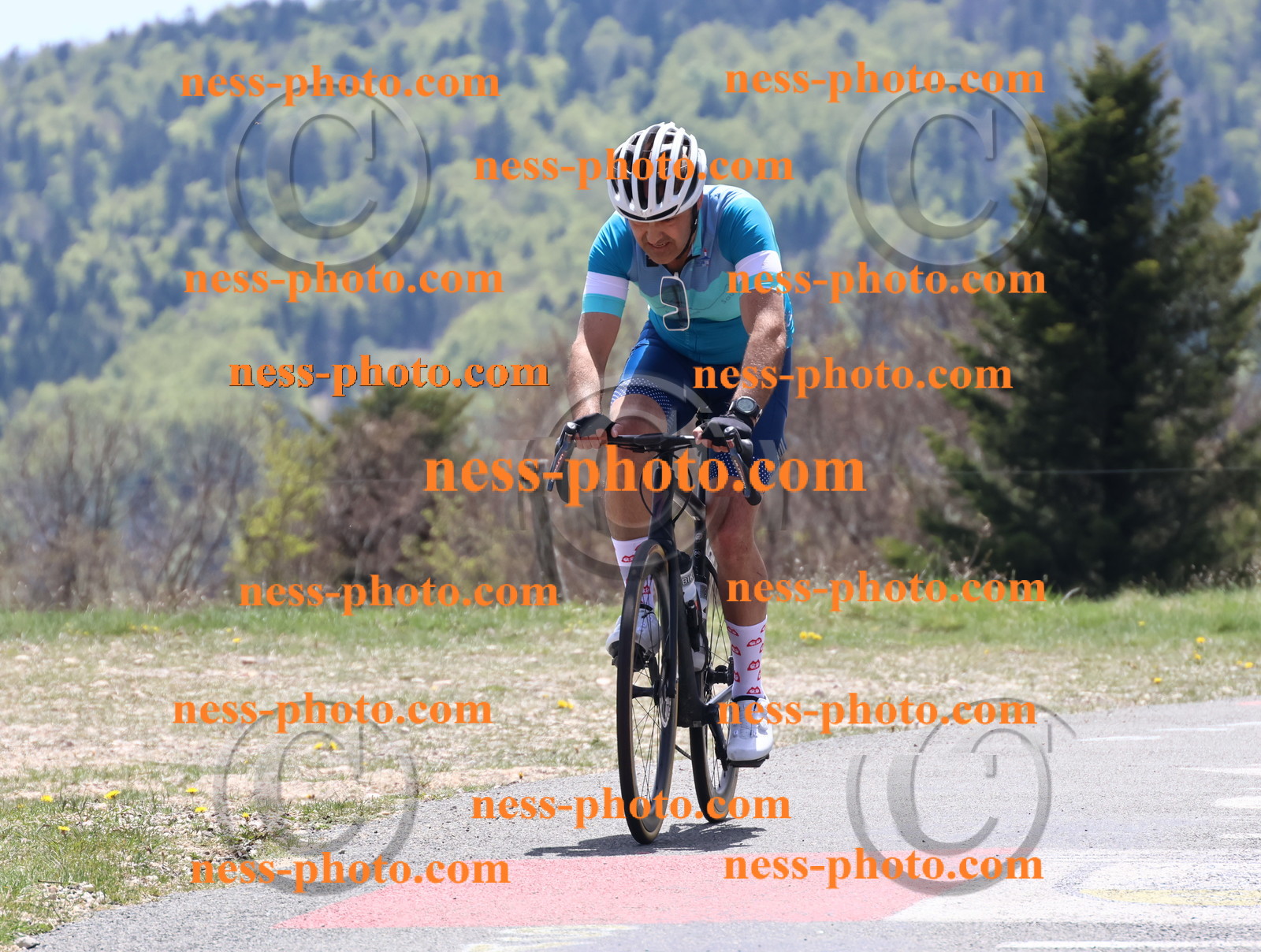 Col du Grand Colombier (562).JPG