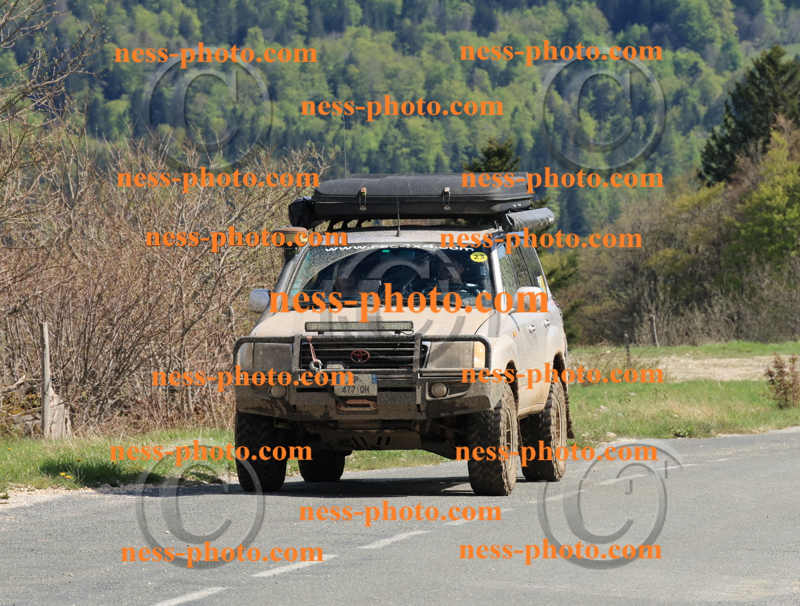 Col du Grand Colombier (235).JPG