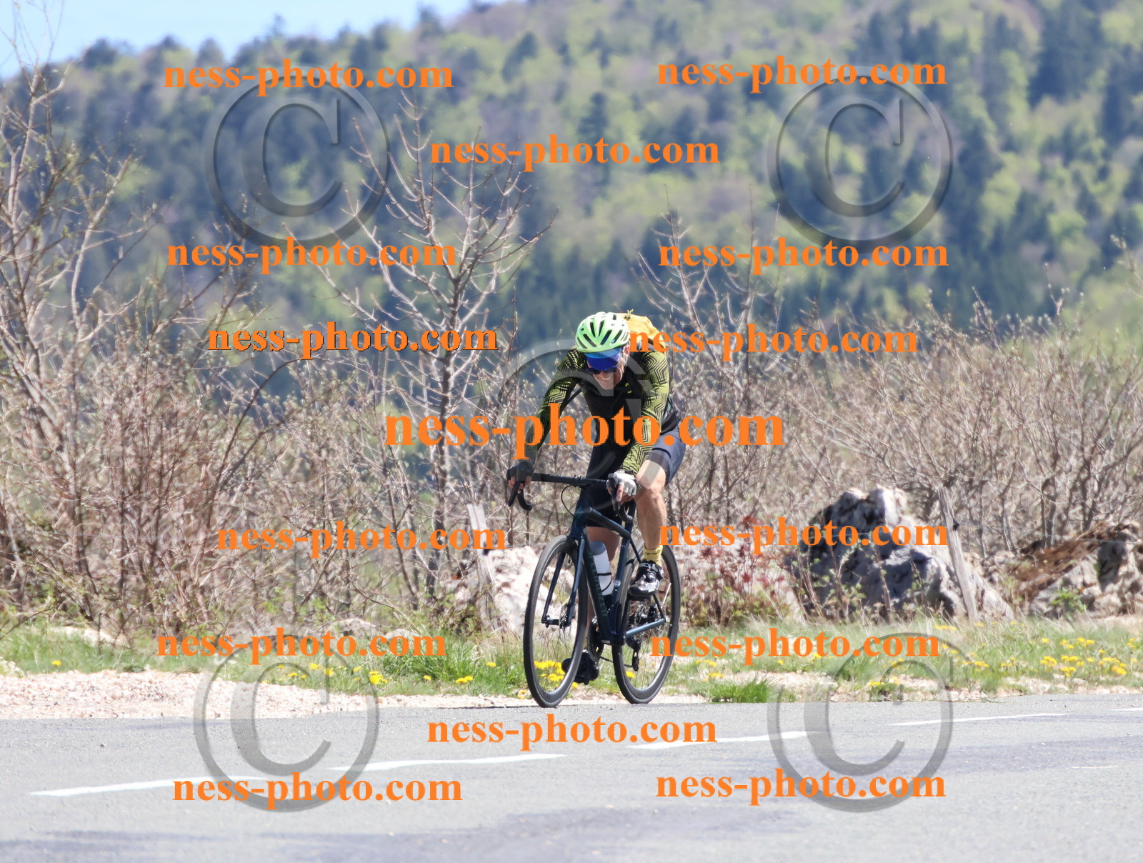 Col du Grand Colombier (934).JPG