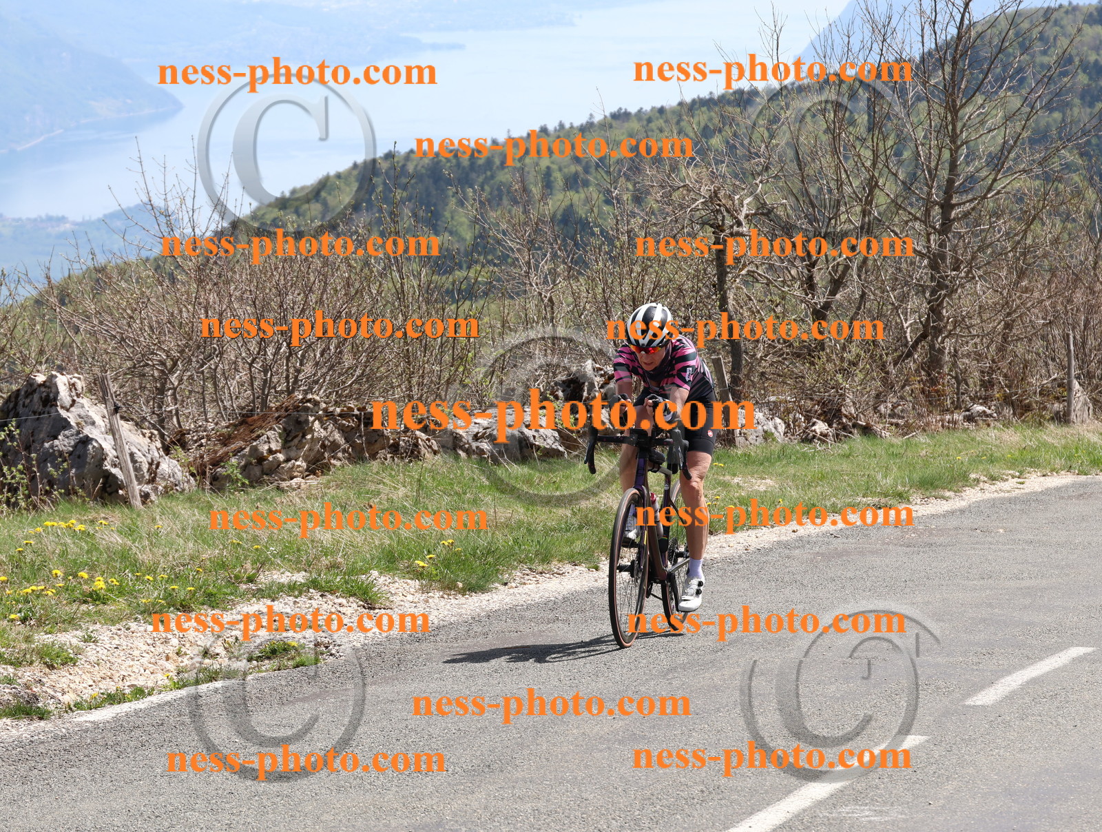 Col du Grand Colombier (921).JPG