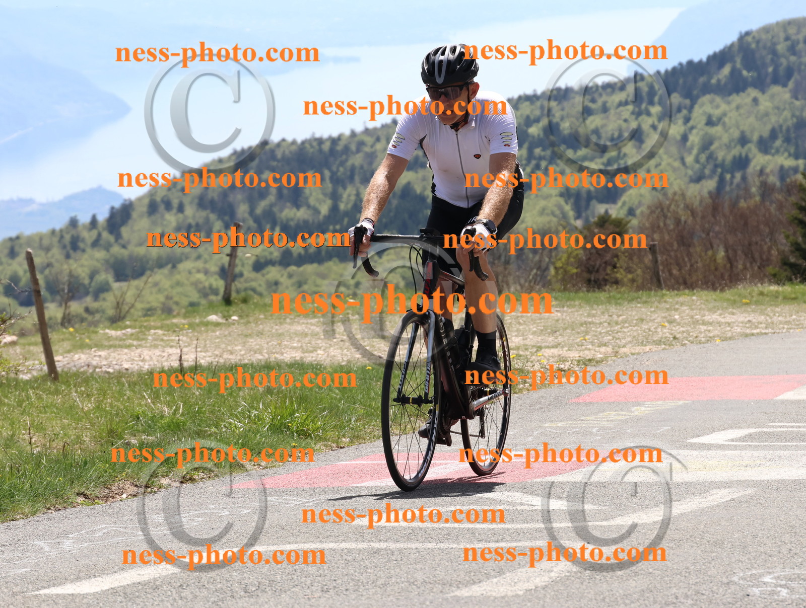 Col du Grand Colombier (480).JPG