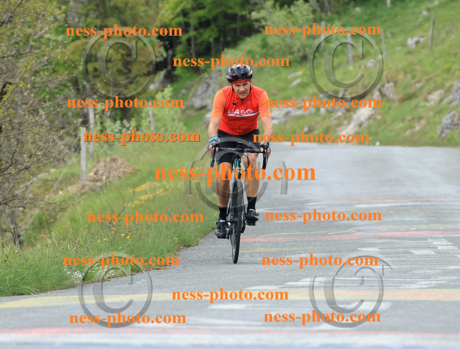 Col du Grand Colombier (606).JPG