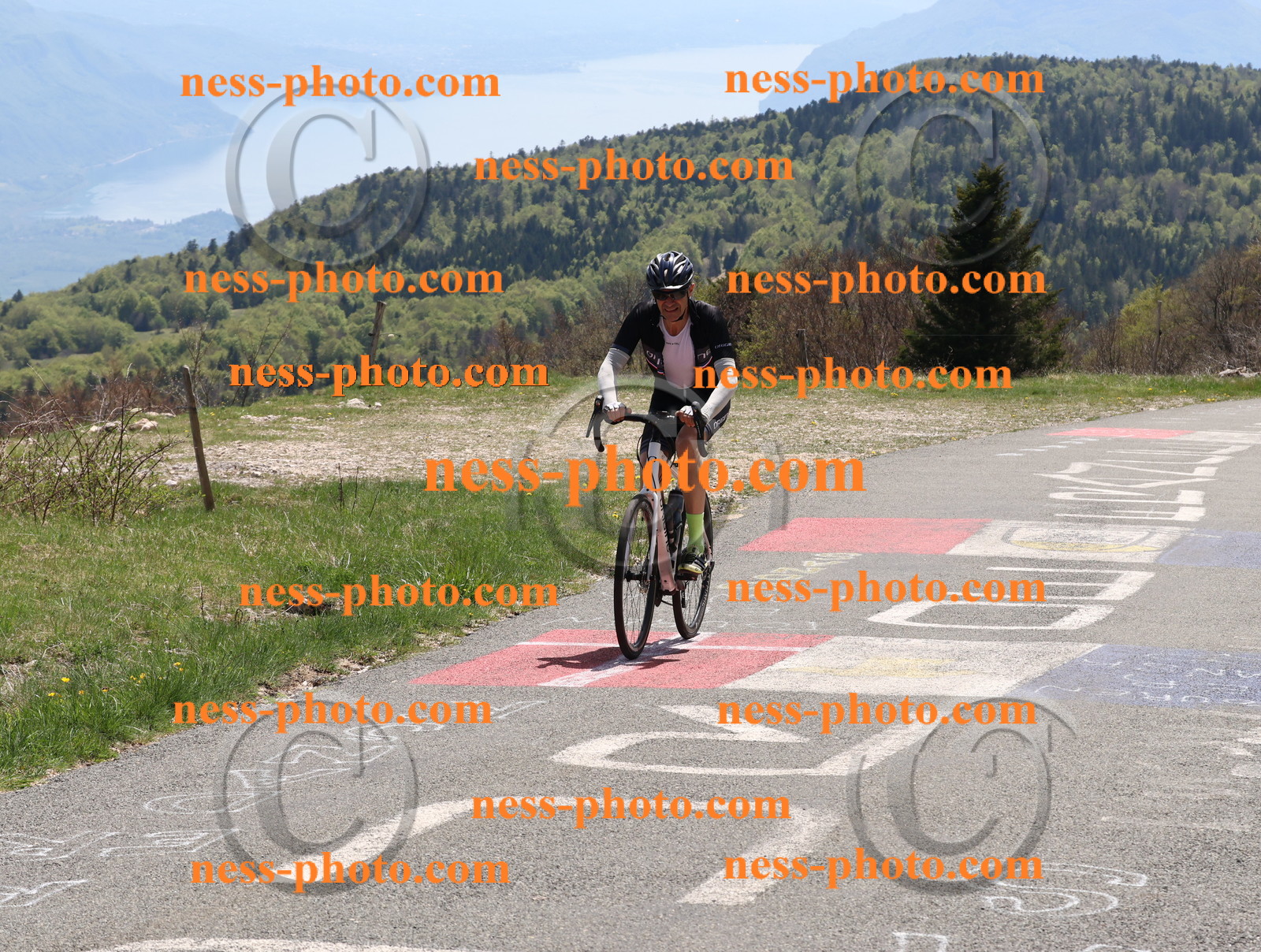 Col du Grand Colombier (656).JPG